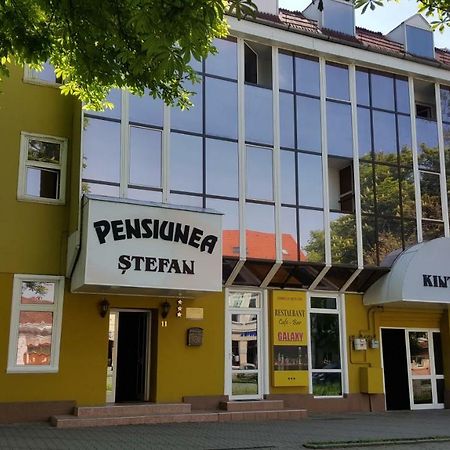 Pensiunea Stefan Bistriţa Buitenkant foto